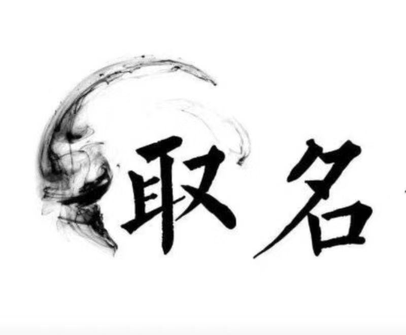  清苑宝宝取名 大师一对一人工起名
